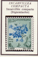 EGYPTE - Fleurs, Flowers, Incarvillée Compacte - Y&T N° 970 - 1975 - MNH - Ungebraucht