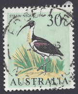 AUSTRALIA 1960-70 - Yvert 334° - Ibis | - Used Stamps