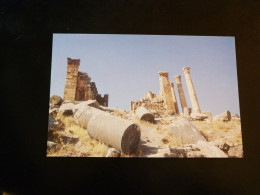 JERASH    ZEUS TEMPLE - Jordanie