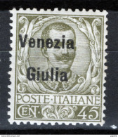 Venezia Giulia 1918 Sass.26 **/MNH VF/F - Venezia Julia