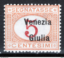 Venezia Giulia 1918 Segnatasse Sass.S1 **/MNH VF/F - Vénétie Julienne