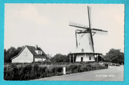 * Kloetinge - Goes (Zeeland - Nederland) * (nr 16) Fotokaart, Molen, Moulin, Muhle, Mill, Carte Photo, Old - Goes