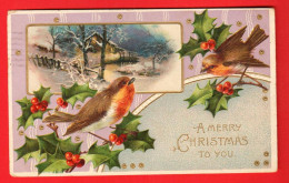 EBM-35 Merry Christmas Joyeux Noël.  Oiseaux, Houx. Art Nouveau. Jugendstil. Circulé 1910 Timbre Manque. Gaufré Geprägt - Sonstige & Ohne Zuordnung