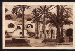 España - Circa 1920 - Postcard - Doramas Park - La Palma