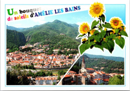 27-10-2023 (5 U 26) France - Amélie Les Bains - Amélie-les-Bains-Palalda