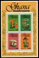 Ghana 1993 - Mi-Nr. Block 232 ** - MNH - Pilze / Mushrooms - Ghana (1957-...)