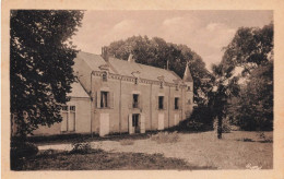 Arçay * Le Château Du Puits D'arçay - Andere & Zonder Classificatie