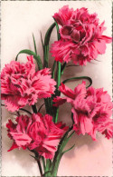 FLEURS PLANTES ARBRES - Fleurs - Un Bouquet De Fleurs - Colorisé - Carte Postale Ancienne - Flowers