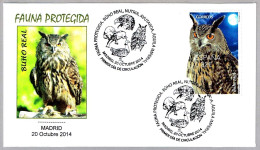 BUHO REAL - OWL - Bubo Bubo. FDC Madrid 2014 - Hiboux & Chouettes