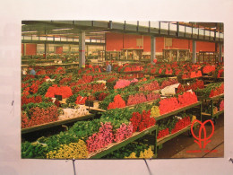 Aalsmeer - Cutflower Section United Flower Markets Aalsmeer - Aalsmeer