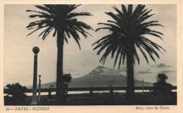 PORTUGAL - Fayal - Açores - Carte Postale Ancienne - Açores