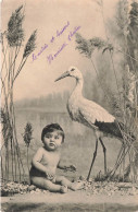 FANTAISIE - Bébé - Un Bébé Et Une Cigogne - Carte Postale Ancienne - Baby's