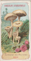 CLITOCYBE Des BRUYERES  Chromo Format 10 X 5 Chocolat D'Aiguebelle - Champignons