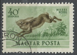 Hongrie - Hungary - Ungarn Poste Aérienne 1953 Y&T N°PA138 - Michel N°F1287 (o) - 40fi Lièvre - Usati