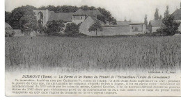 Dixmont - La Ferme Et Les Ruines Du Prieuré De L'Enfourchure - Dixmont