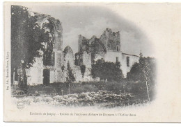 Dixmont - Ruines De L'ancienne Abbaye De Dixmont à L'Enfourchure - Dixmont