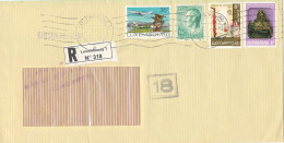 Luxembourg Registered Cover Sent To Denmark 1982 Topic Stamps - Lettres & Documents