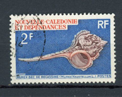 NOUVELLE-CALEDONIE RF - COQUILLAGE  - N°Yt 358 Obli. - Usati