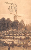 PAYS-BAS - LEIDEN - Lammerenmarkt - Leiden