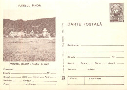 Romania Carte Postala Tabara De Copii Padurea Neagra Bihor - Hotels & Restaurants