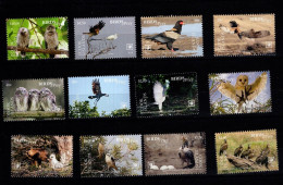 COOK ISLAND  - 2018 - BIRDS - UCCELLI - SHEET -  MNH - BIRDS OF PREY - - Aigles & Rapaces Diurnes