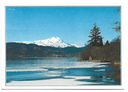 A FROZEN LOCH ARD WITH BEN LOMOND  IN THE BACKGROUND NEAR ABERFOILE.-  ( ESCOCIA ) - Stirlingshire