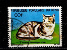 - CHATS - BENIN - 1981 - N° 530 - Oblitéré - Chats Domestiques