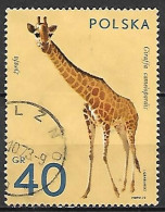 POLOGNE     -     GIRAFE       -    Oblitéré - Jirafas