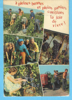 Les Vendanges-Bourgogne-Multivues-Vigne-Vin-cachet De Beaune-Côte D'Or-1979 - Bourgogne