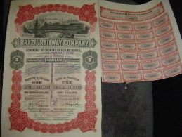 Action Privilégiée " Brazil Railway Cy " Sao Paulo Brésil 1909 Capital $40000000 Reste Des  Coupons - Chemin De Fer & Tramway