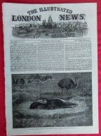 THE ILLUSTRATED LONDON NEWS 1208 JUNE 13,1863 HERAT AFGHANISTAN - Altri & Non Classificati