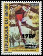 ** BENIN - Poste - Michel 1402, émission Locale, Variété Double Surcharge: 175/250f. Singe Cercopithèque - Otros & Sin Clasificación