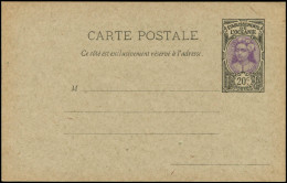 N OCEANIE - Entiers Postaux - CL7, Carte Postale: 20c. Noir Et Violet - Other