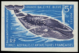 ** TERRES AUSTRALES - Poste - 22, Non Dentelé: 5f. Grande Baleine Bleue - Nuevos