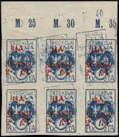 * LITUANIE POLONAISE - Poste - 38, Bloc De 6, Double Impression Du Bleu: Plébiscite - Lithuania