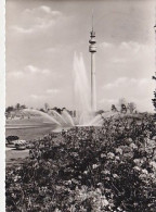 Delcampe - AK 174485 GERMANY - Dortmund - Bundesgartenschau 1959 - Flamingoteich Mit Fernsehturm - Dortmund