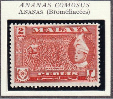 MALAISIE - PERLIS - Fruits, Ananas - 1957 - MNH - Perlis