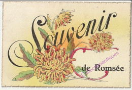 CPA Souvenir De Romsée - Circulée - Dos Divisé - Années 1900 - Fléron