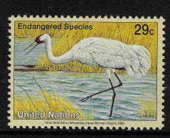 United Nations 1993 MiNr. 645 New York - I  Birds Whooping Crane (Grus Americana) 1v MNH** 0.80 € - Grues Et Gruiformes