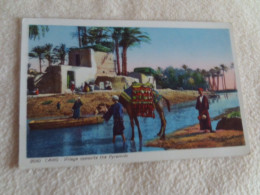 BELLE CARTE .....VILLAGE OPPOSITE THE PYRAMIDS.. - Le Caire