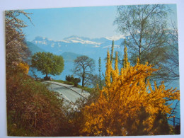 Cpsm Suisse Vierwaldstättersee - Vierwaldstättersee