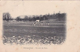 CHATEAUVILLAIN                    UN COIN DU PARC - Chateauvillain