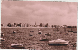 DAV : Egypte : Alexandrie :, Alexandria :  Skyline Of  East  Harbour - Alexandrie