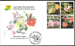 KK-670 NORTHERN CYPRUS FRUIT FLOWERS F.D.C. - Lettres & Documents
