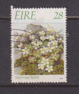 IRELAND  -  1988  Harts Saxifrage  28p  Used As Scan - Used Stamps