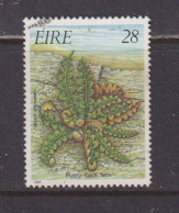 IRELAND  -  1986  Rusty Back Fern  28p  Used As Scan - Used Stamps