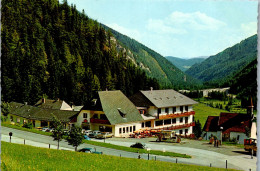 45236 - Steiermark - Seewiesen , Hotel Schuster , Leo U. Grete Schuster - Gelaufen 1976 - Alfenz