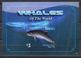 Tuvalu Block 1v 2011 Whales Of The World - Baleine MNH - Tuvalu