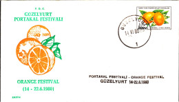 KK-029A NORTHERN CYPRUS ORANGE FESTIVAL F.D.C. - Cartas & Documentos