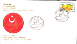 KK-029D NORTHERN CYPRUS 5th ANNIVERSARY F.D.C. - Lettres & Documents